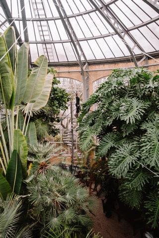 Hortus Botanicus